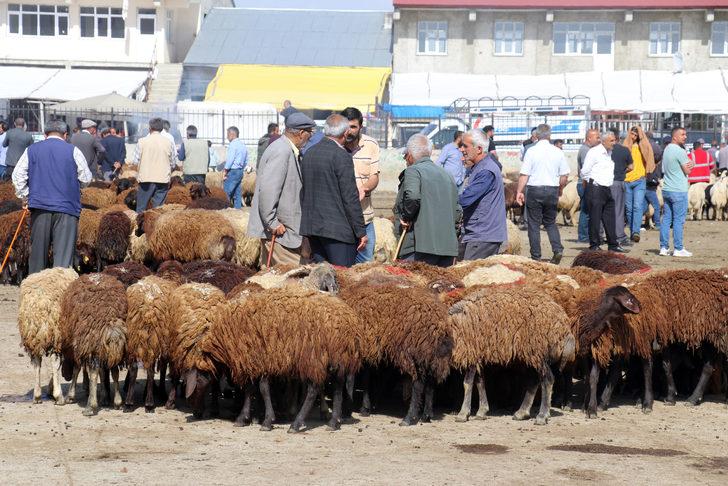 Doğu Anadolu'dan büyükşehirlere kurbanlık sevkiyatı başladı G5