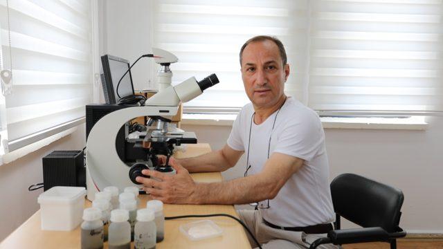 Trabzon Üniversitesi Kaçkarlar'daki göllerde 48 yeni kayıt alg türü tespit etti