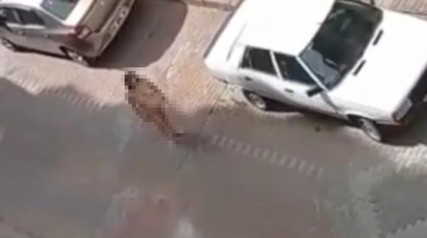 İzmit'te ilginç olay! Çırılçıplak bekleyen kadını gören şaşkına döndü