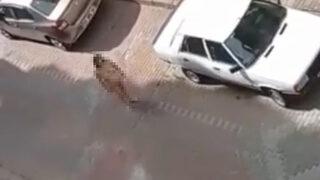 İzmit'te ilginç olay! Çırılçıplak bekleyen kadını gören şaşkına döndü