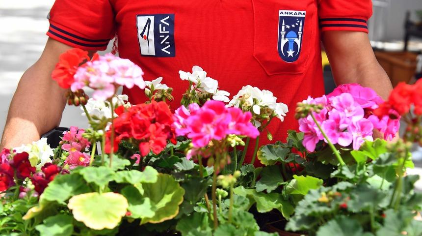 Ankara Büyükşehir Belediyesi "Çiçeğim Takas" uygulamasını başlatacak