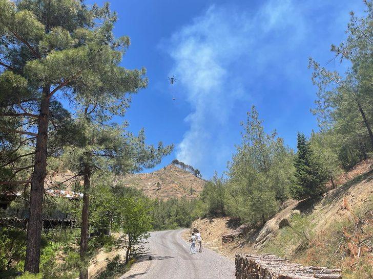 GÜNCELLEME - Kahramanmaraş'ta çıkan orman yangını kontrol altına alındı G1