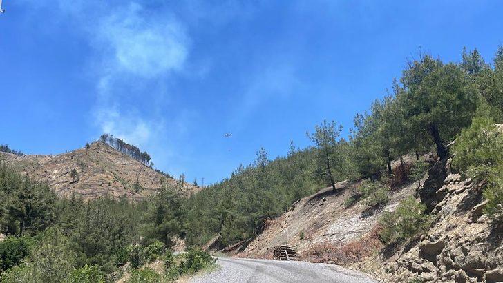 GÜNCELLEME - Kahramanmaraş'ta çıkan orman yangını kontrol altına alındı G3