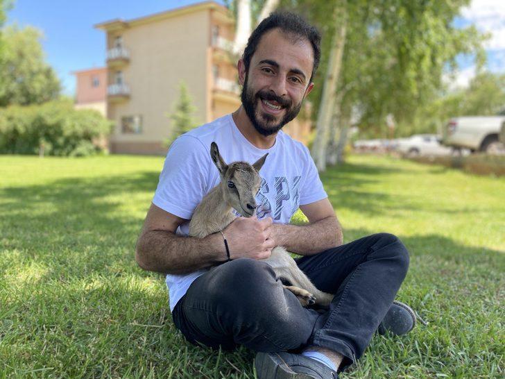 Erzurum'da bitkin halde bulunan yaban keçisi yavrusu korumaya alındı G1