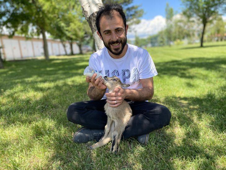 Erzurum'da bitkin halde bulunan yaban keçisi yavrusu korumaya alındı G4