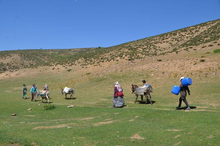 Muş'ta berivanlar yaylalardaki hayvanları sağmak için kilometrelerce yol katediyor G4