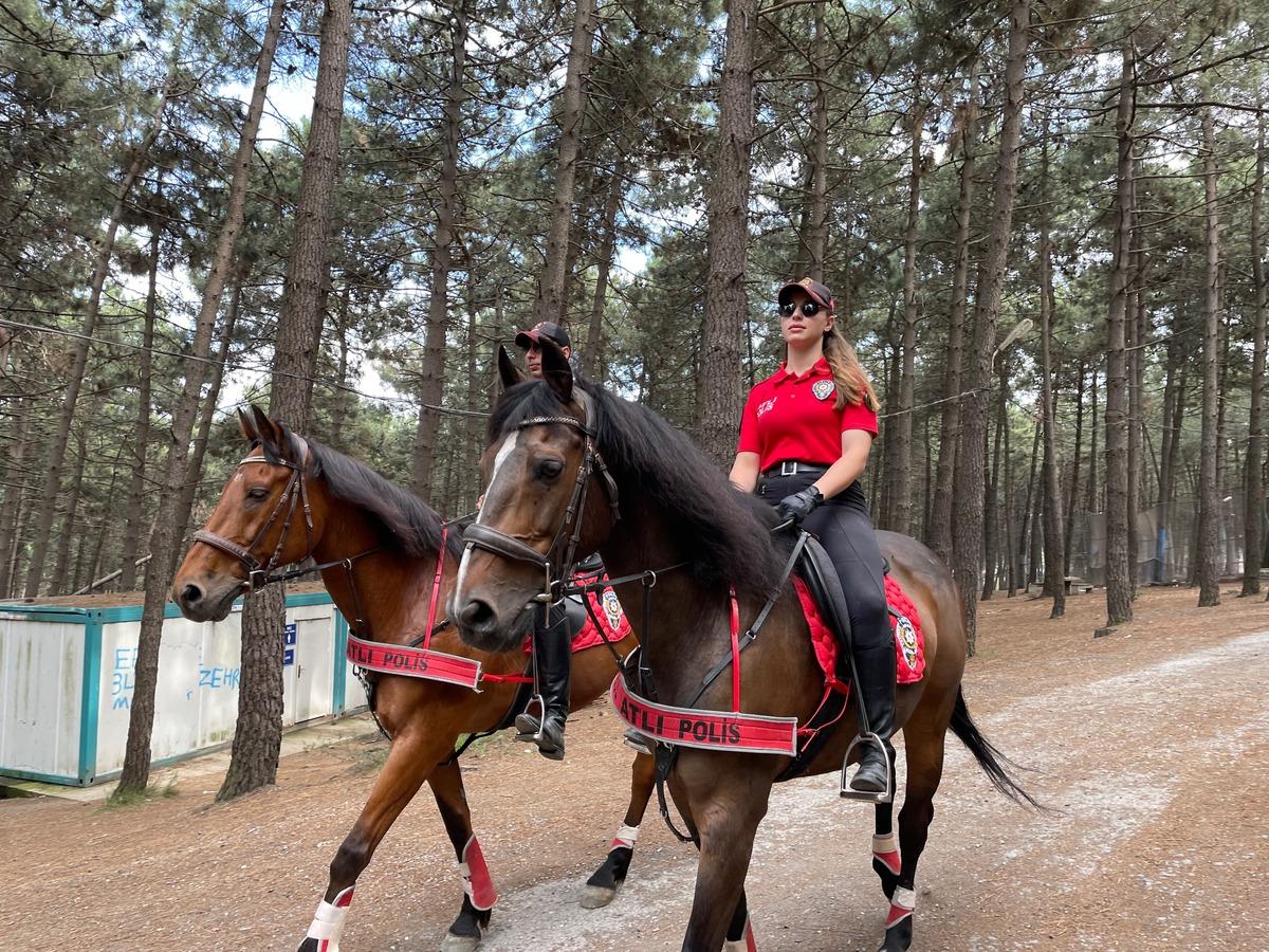 İstanbul'da orman yangınlarına karşı &ouml;nleyici denetimler yapıldı
