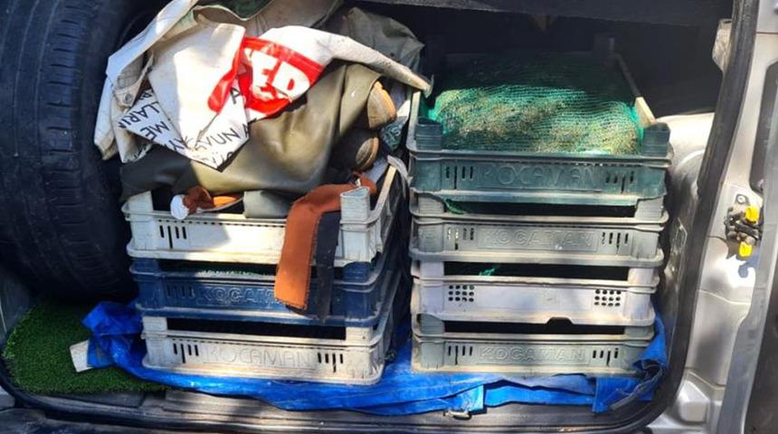 Kaçak kurbağa avladılar! 110 bin liradan oldular...