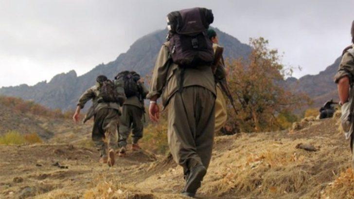 Batman'da  PKK'lı 3 terörist ölü ele geçti, 1 terörist yakalandı
