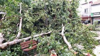 Akhisar'da şiddetli yağış ve fırtına hayatı olumsuz etkiledi