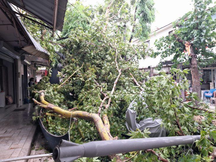 Akhisar'da şiddetli yağış ve fırtına hayatı olumsuz etkiledi G5