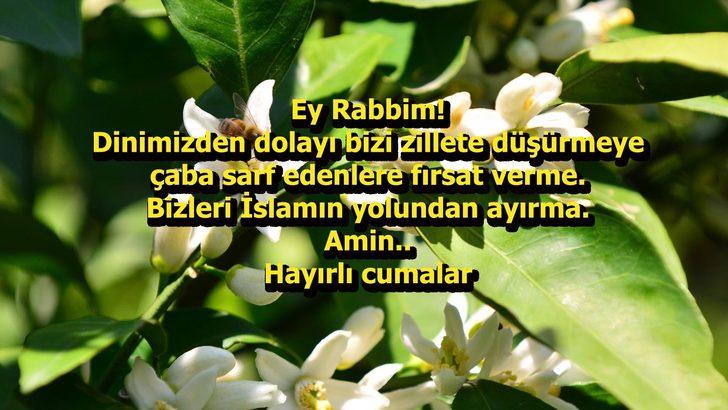 CUMA MESAJLARI 2022! Resimli, kısa, dualı, ayetli en güzel ve en yeni Cuma mesajları G4