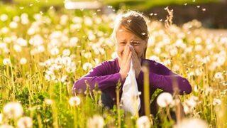 15 adımda polenlerden koruyun!