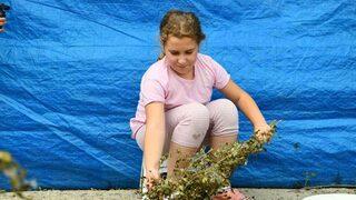 Müthiş gelir sağlıyor! Sıfır masrafla 40 günde 6 bin lira gelir sağlıyor