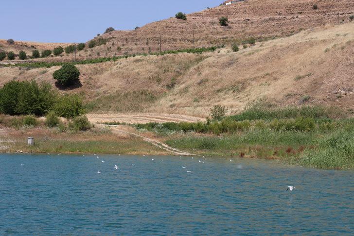 Atatürk Barajı göletinde av yasağı denetimleri dron yardımıyla yapılıyor G3