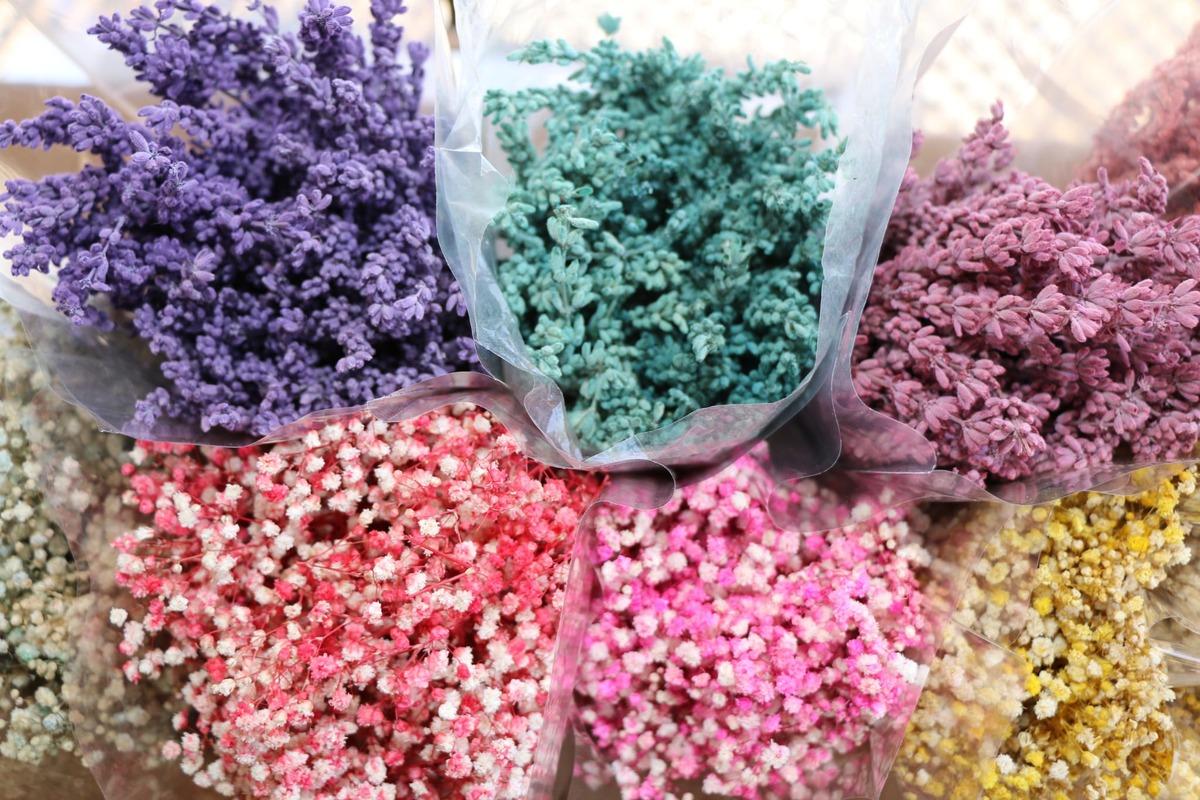 Adana'da dekoratif hale getirilen bitkiler 20 &uuml;lkeye ihra&ccedil; ediliyor