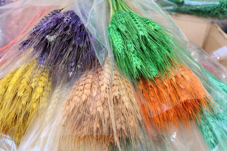 Adana'da dekoratif hale getirilen bitkiler 20 ülkeye ihraç ediliyor G2