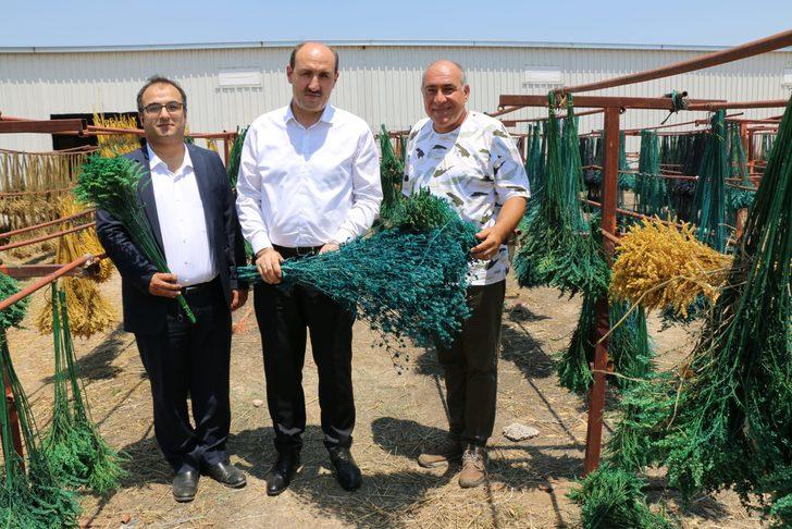 Adana'da dekoratif hale getirilen bitkiler 20 ülkeye ihraç ediliyor G3