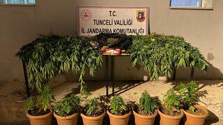 Tunceli'de evinde uyuşturucu ele geçirilen şüpheli gözaltına alındı