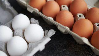 Rekabet Kurumu Başkanı canlı yayında ilk kez açıkladı: Yumurta fiyatları belirlenirken kartel yapıldı mı? 