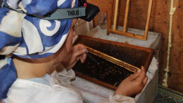 Kilosu 10-15 bin TL arasında değişiyor! Satana servet kazandırıyor