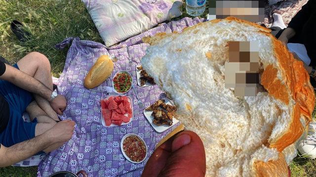 Piknikte mide bulandıran olay! İçinden fare çıktı, ekmek alamaz oldular: Olayın şokundayız