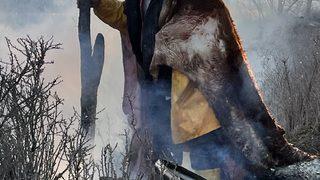 Hayvan postu giyen dekan çöplükte dolaşarak savaşların etkisine dikkati çekti