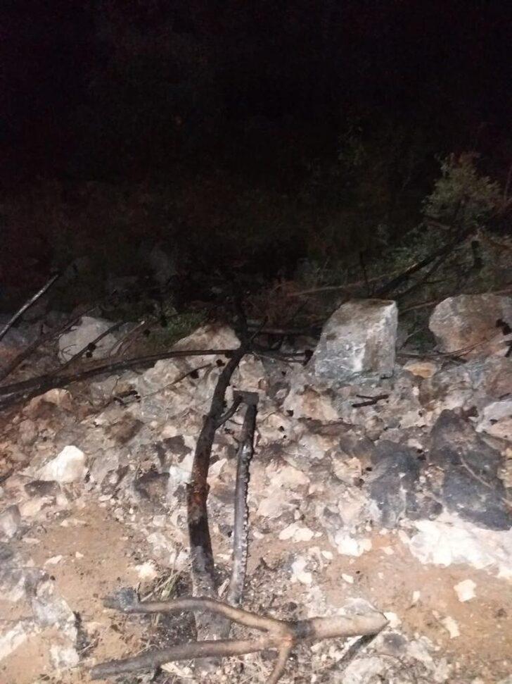 Antalya'da orman yangını çıkardığı iddiasıyla bir kişi tutuklandı G1