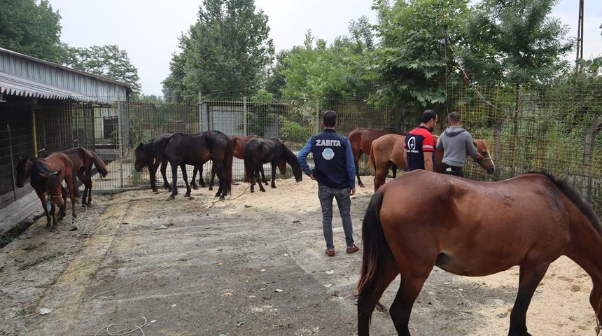 Bir il bunu konuşuyor! İnsanlara at eti yedireceklerdi, su&ccedil;&uuml;st&uuml; yakalandılar