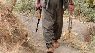 İçişleri Bakanlığı: PKK'nın 5 üst düzey yöneticisi yakalandı