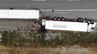 Rusya'ya 48 bin dolarlık kiraz taşıyan TIR devrildi!