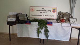 Kahramanmaraş'ta evinde kenevir yetiştirdiği iddiasıyla bir kişi yakalandı