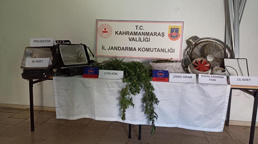 Kahramanmaraş'ta evinde kenevir yetiştirdiği iddiasıyla bir kişi yakalandı