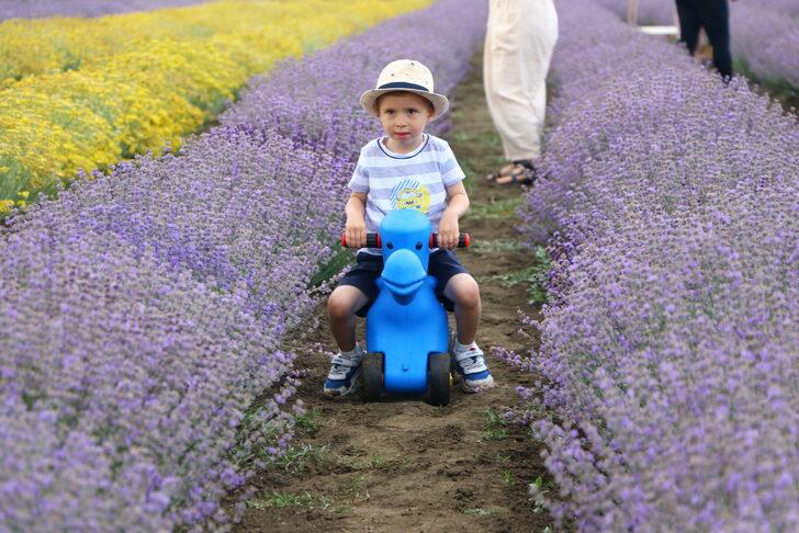 "Tekirdağ 2. Lavanta Günleri" başladı G2