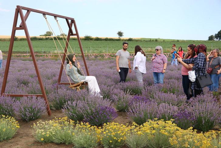 "Tekirdağ 2. Lavanta Günleri" başladı G3