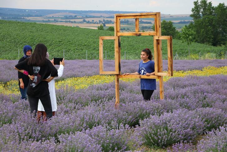"Tekirdağ 2. Lavanta Günleri" başladı G4