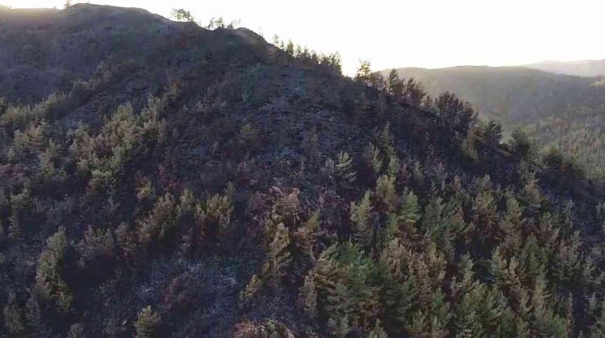 Yürekleri dağlayan kareler! Marmaris'teki 'kara tablo' havadan görüntülendi