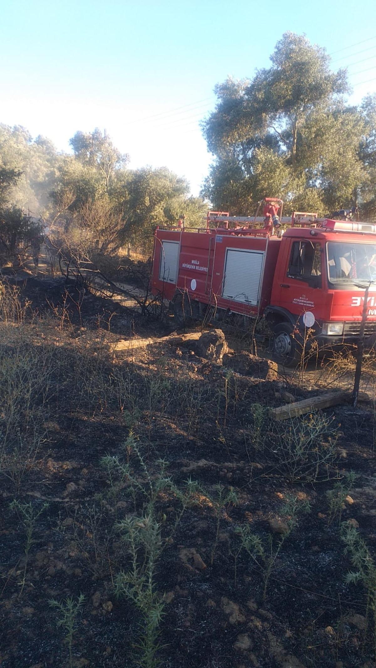 Muğla'da tarım arazisi ve otluk alanda &ccedil;ıkan yangınlar s&ouml;nd&uuml;r&uuml;ld&uuml;