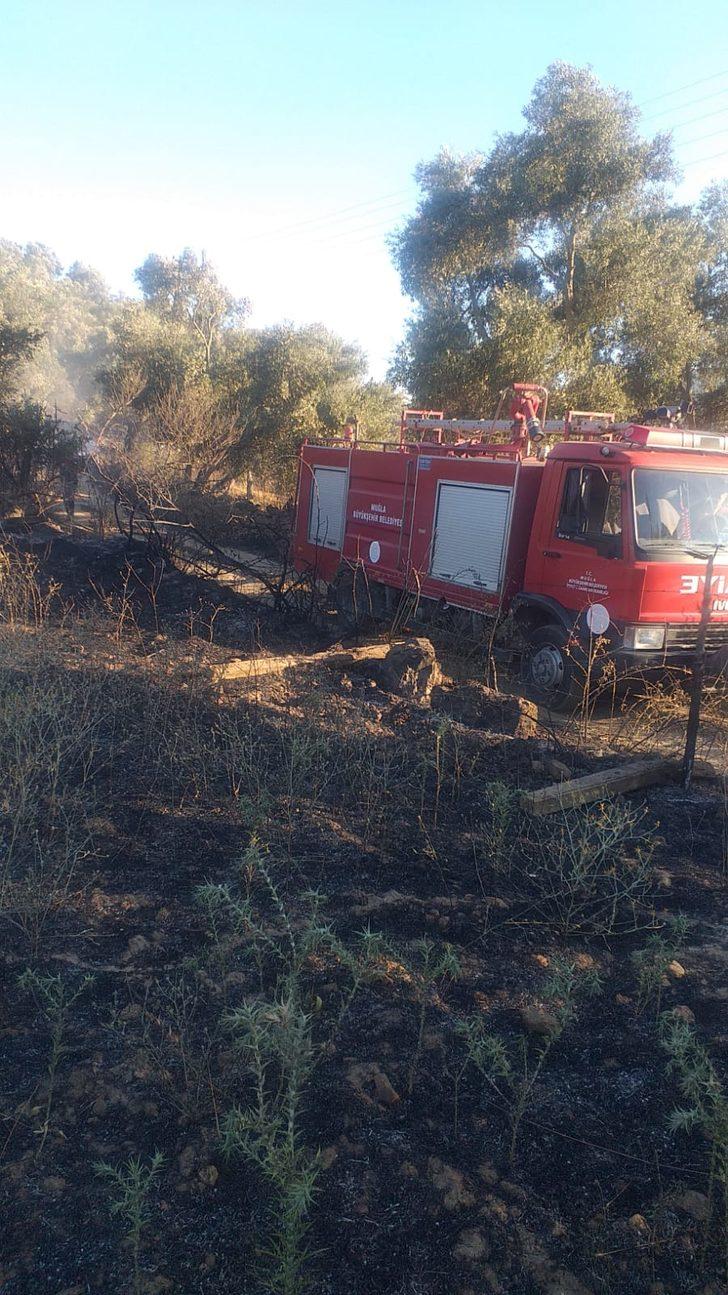 Muğla'da tarım arazisi ve otluk alanda çıkan yangınlar söndürüldü G1
