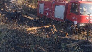 Muğla'da tarım arazisi ve otluk alanda çıkan yangınlar söndürüldü