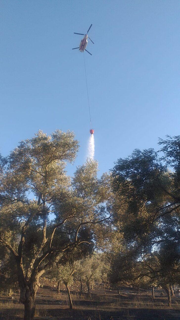Muğla'da tarım arazisi ve otluk alanda çıkan yangınlar söndürüldü G2