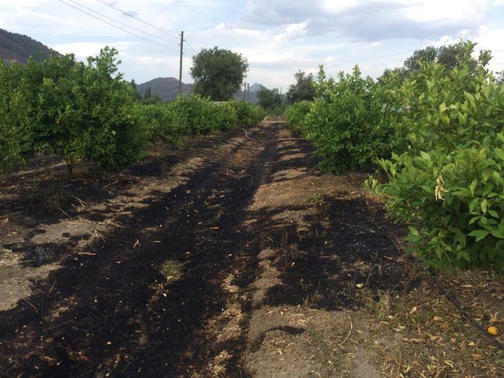 Muğla'da tarım arazisi ve otluk alanda çıkan yangınlar söndürüldü G3