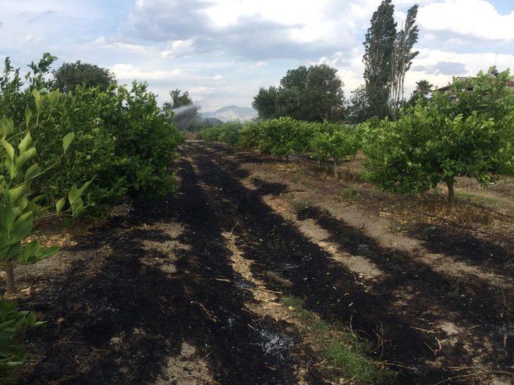 Muğla'da tarım arazisi ve otluk alanda çıkan yangınlar söndürüldü G4