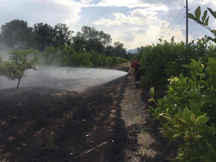 Muğla'da tarım arazisi ve otluk alanda çıkan yangınlar söndürüldü G5