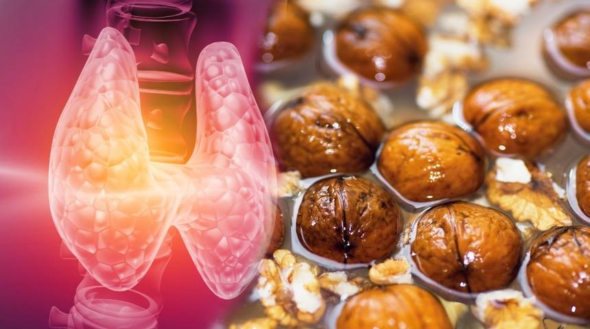 Tiroid hastalığına mucize gibi çözüm: Ceviz kürü! Ceviz kürü nasıl yapılır?