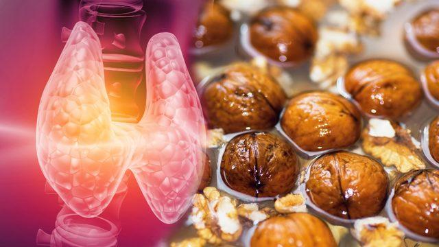 Tiroid hastalığına mucize gibi çözüm: Ceviz kürü! Ceviz kürü nasıl yapılır?