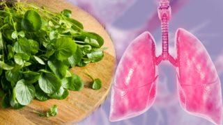 Kanseri önler, toksinlerden arındırır... Akciğeri pırıl pırıl yapan kür!