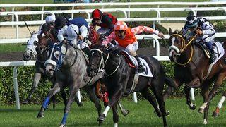 96'ncı Gazi Koşusu için geri sayım başladı!