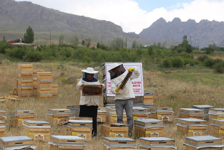Vanlı kadın girişimci devletin hibe desteğiyle arıcı oldu G1