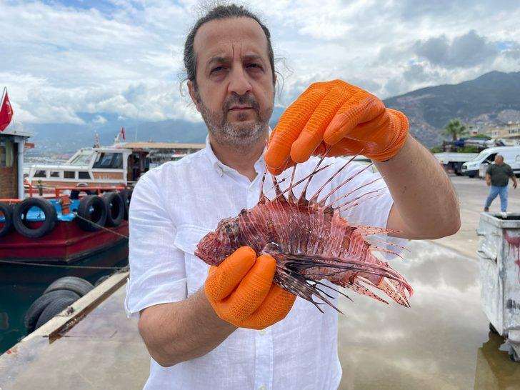 İskenderun Körfezi'nde aslan balığı avlama etkinliği düzenlendi G2